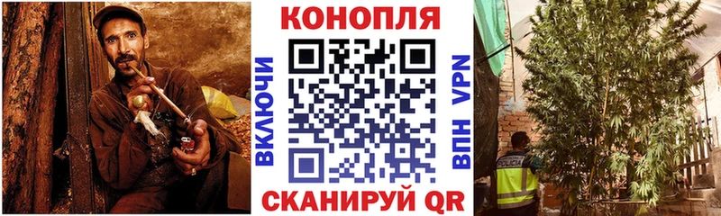 Каннабис сатива  Семёнов 